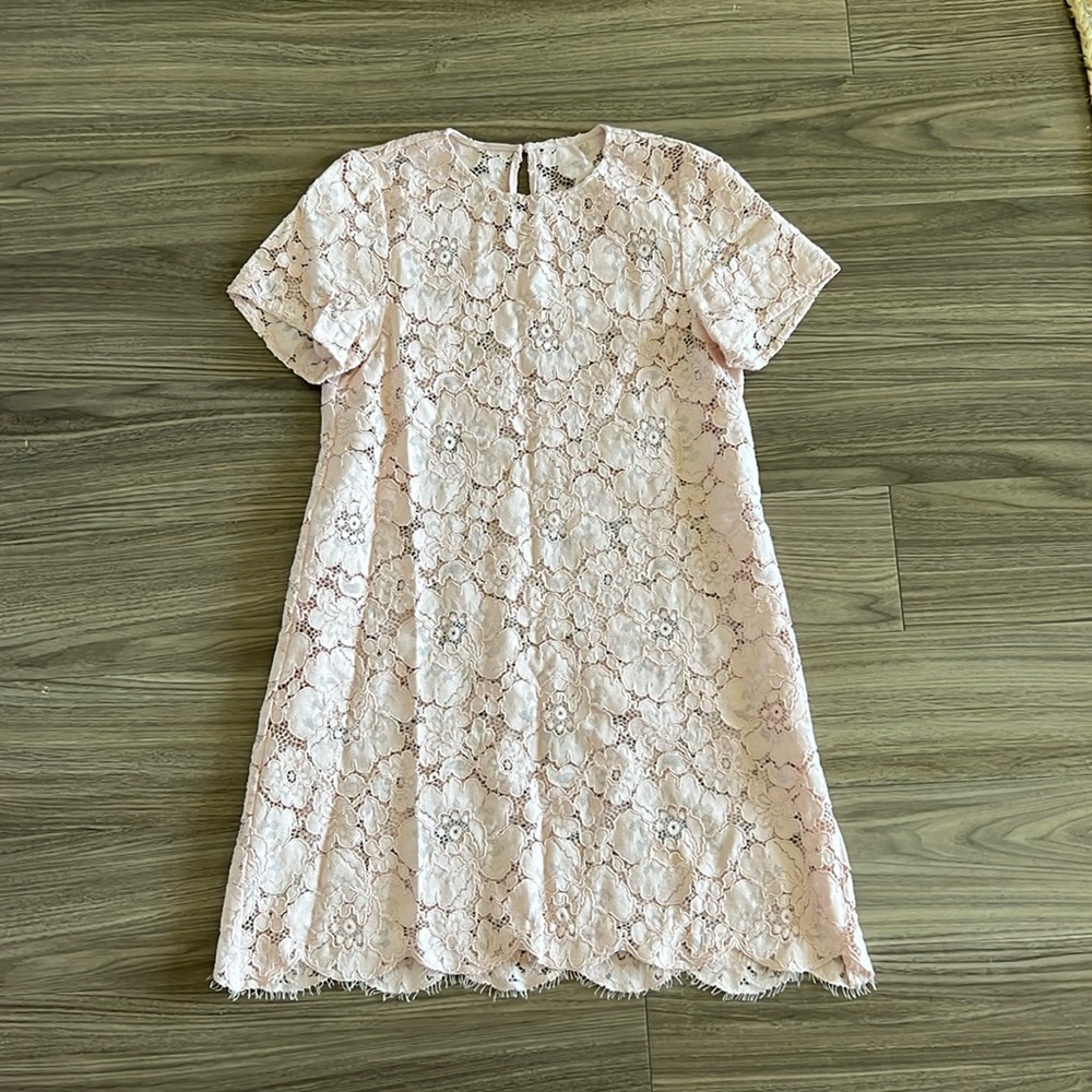 BCBG xs Dusty Pink lace dress (unlined)